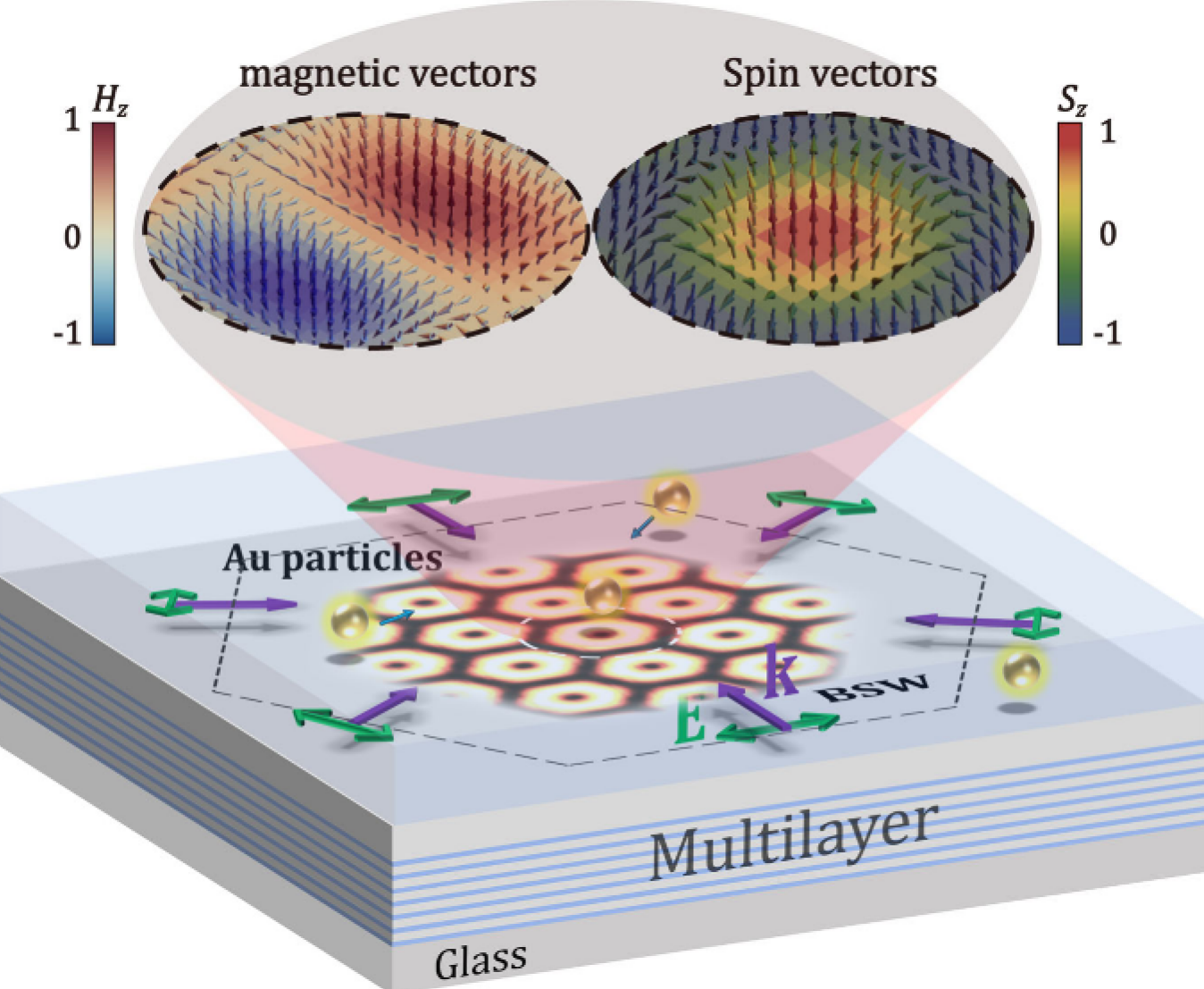 Topological magnetic lattices for on-chip nanoparticle trapping and sorting
