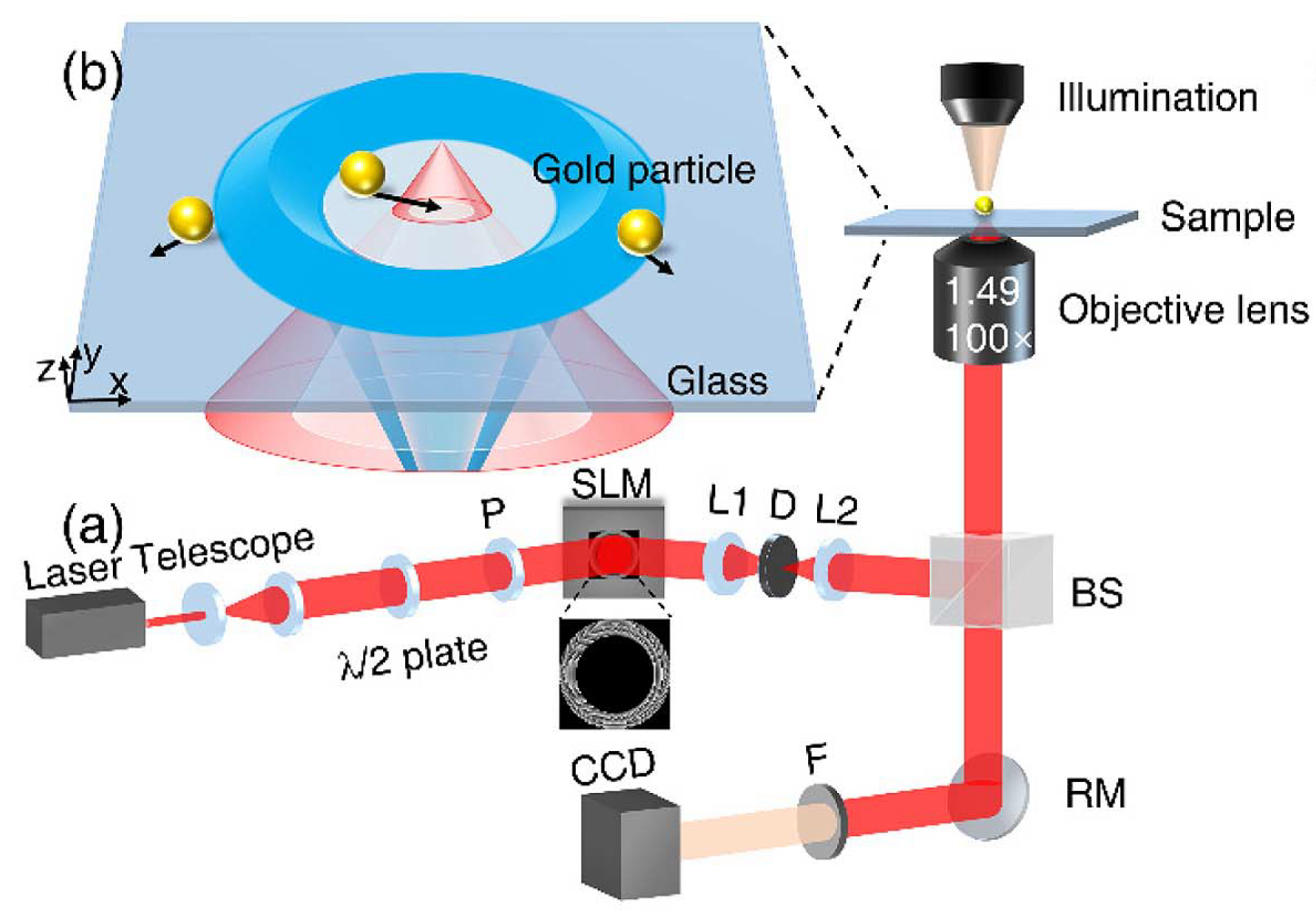 Single-particle trapping and dynamic manipulation with holographic optical surface-wave tweezers